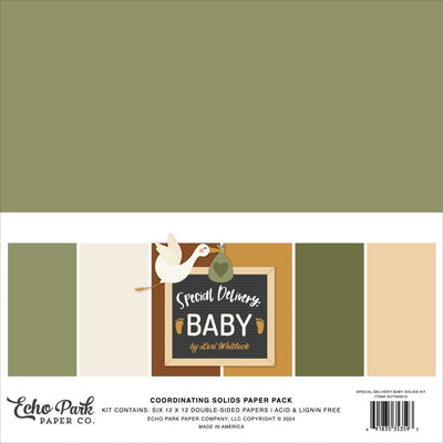 Echo Park - Special Delivery Baby Solids Collection Kit 12