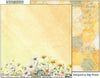 Bee Arty - Daisy Daze Paper - Border Daisy
