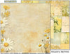 Bee Arty - Daisy Daze Paper - Spotted Daisy