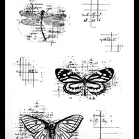 Arden Creative - Hidden Creek Clear Stamp Set- Ledger Wings