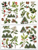 Arden Creative - CHRISTMAS CHEER Foliage Laser Cuts