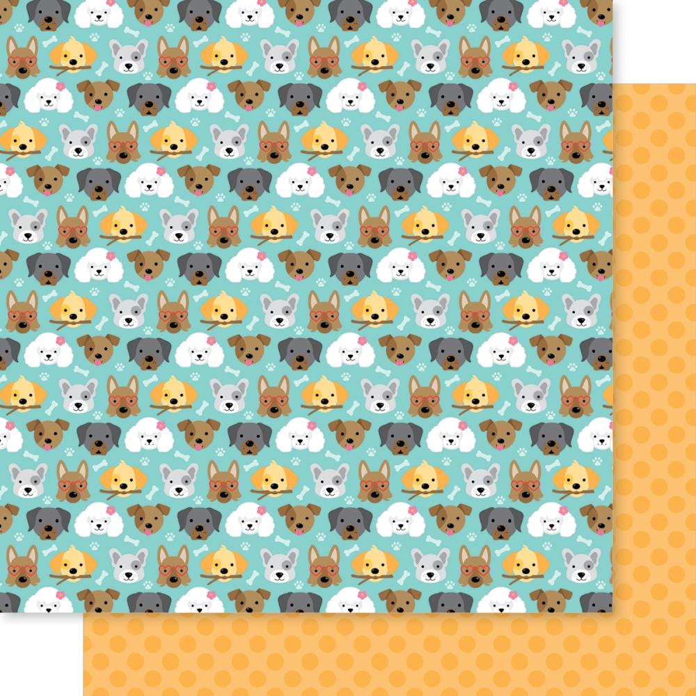 Bella Blvd - Bow Wow Paper - Puppy Eyes