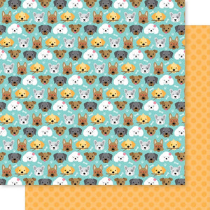 Bella Blvd - Bow Wow Paper - Puppy Eyes