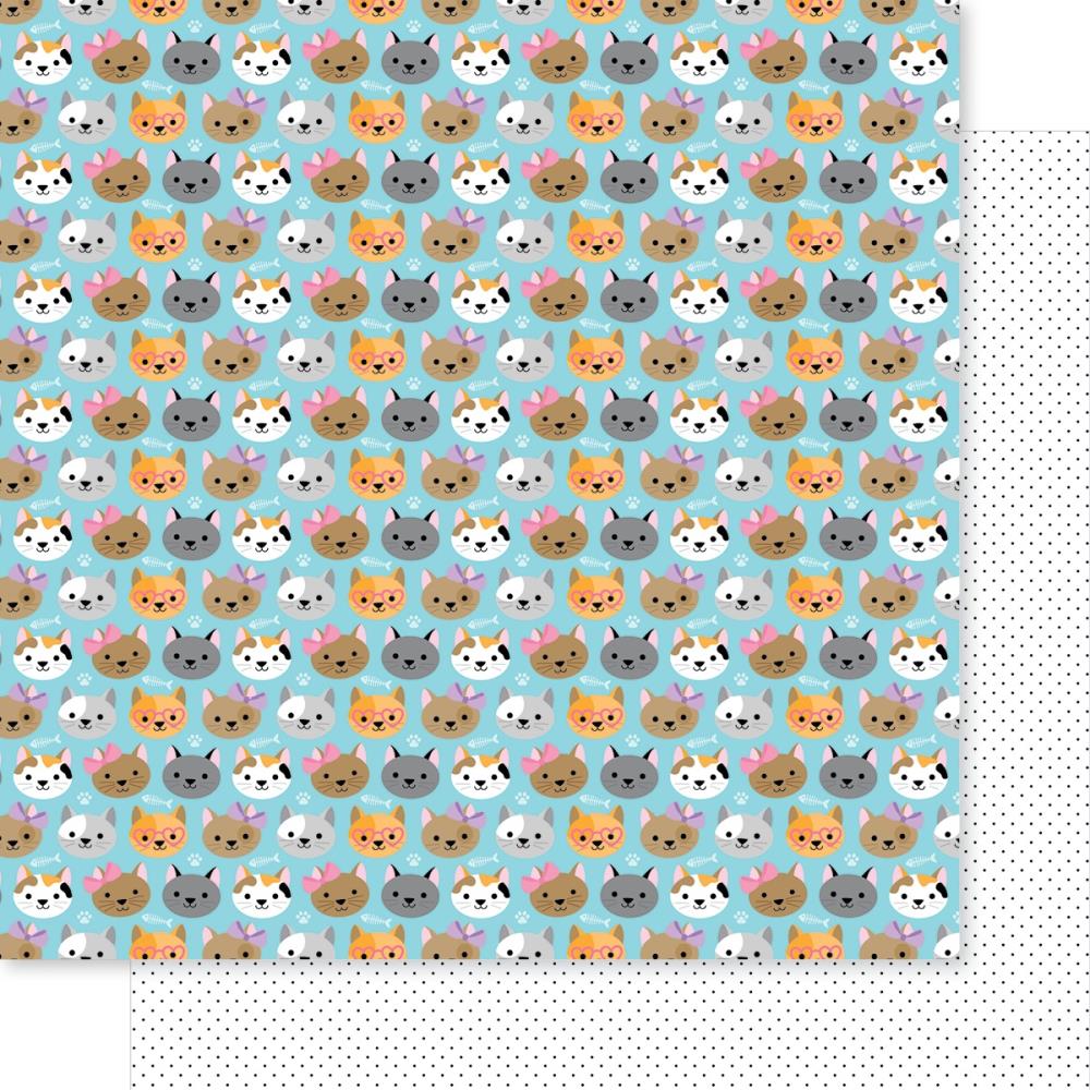Bella Blvd - Meow Paper - That Face