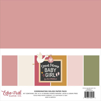 Echo Park - Special Delivery Baby Girl Solids Collection Kit 12
