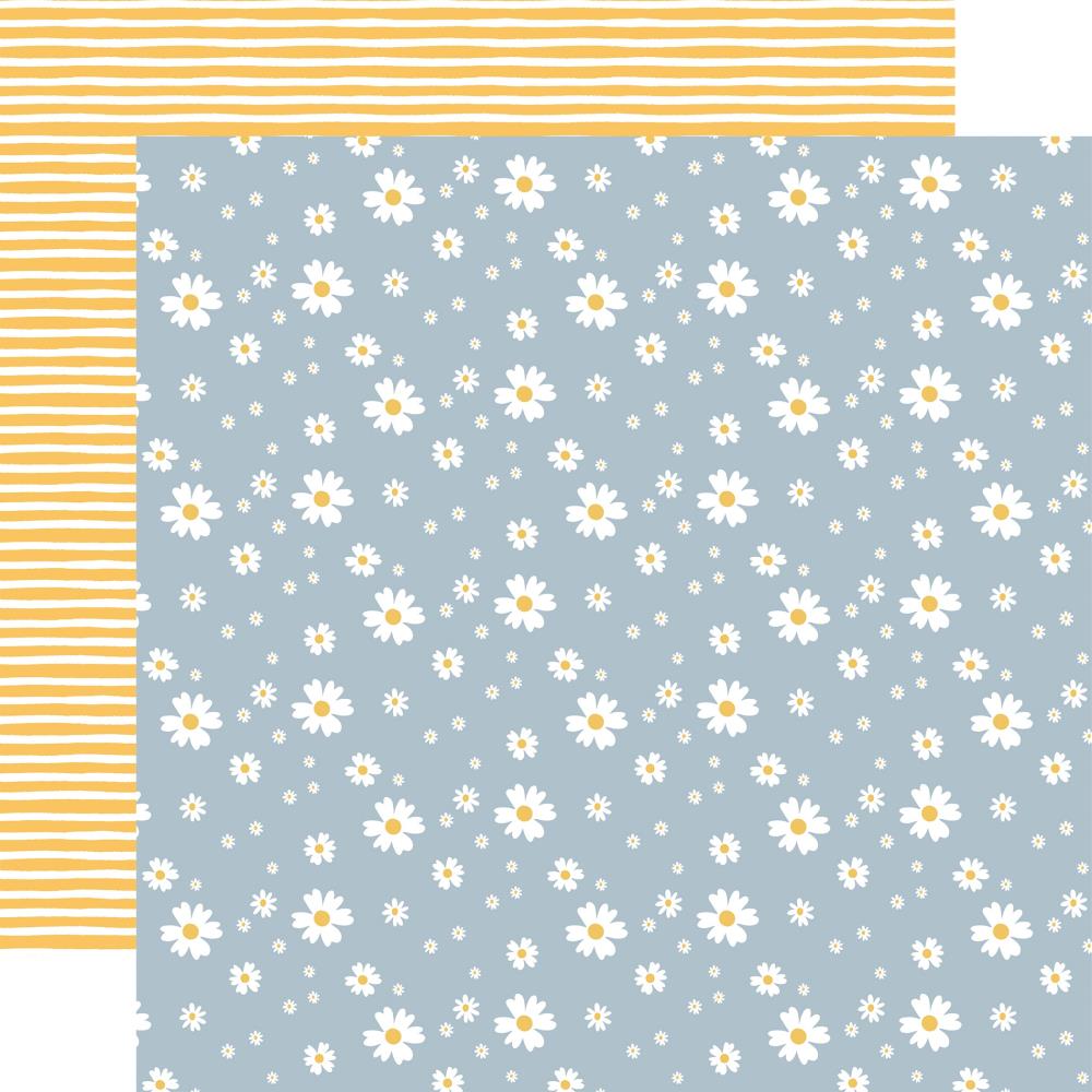 Echo Park - Firefly Paper - Shining Daisies