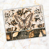 Paper Roses Studio - Ink & Ivory Papercuts LIMITED EDITION Cardmaking Kit with METAL DIES