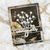 Paper Roses Studio - Ink & Ivory 6 x 8" Quick Card Kit