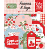 Echo Park - Strawberry Fields Frames & Tags