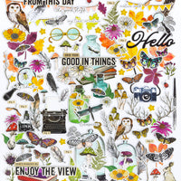 49 And Market - Curiosities In Willow Grove Icons And Titles Ephemera Set