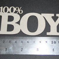 100% Boy Title