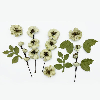49 & Market Flowers - Wildflowers - Celery 12/Pkg