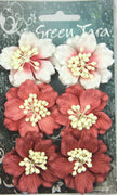 Green Tara - Azalea Packs - Red