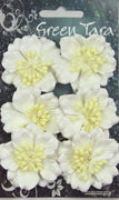 Green Tara - Azalea Packs - White