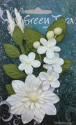 Green Tara - Botanical Gardens- White