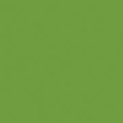 Kaisercraft Cardstock - Lime