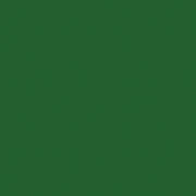 Kaisercraft Cardstock - Cactus