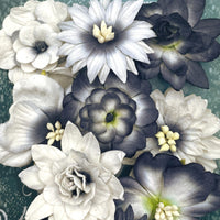 Green Tara - Cornflower Packs - Black/White