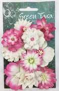 Green Tara - Cornflower Packs - Fuchsia