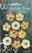Green Tara - Cherry Blossoms Tones Pack - Ochre