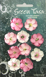 Green Tara - Cherry Blossoms Tones Pack - Rose