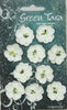 Green Tara - Cherry Blossoms Tones Pack - Whites