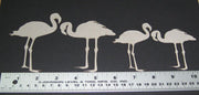 Flamingos