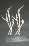 Reeds