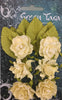 Green Tara - Tea Roses Pack - Cream