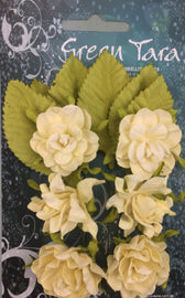 Green Tara - Tea Roses Pack - Cream