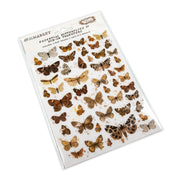 49 And Market Essential Rub-Ons 6"X8" 2/Sheets - Butterflies 01