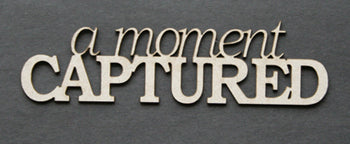 A Moment Captured
