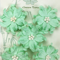 Green Tara - Apple Blossoms - Aqua