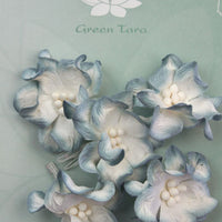 Green Tara - Apple Blossoms - White/Blue