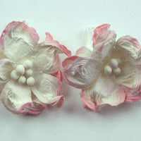 Green Tara - Apple Blossoms - White/Pink