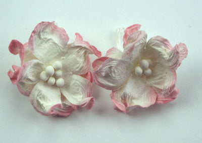 Green Tara - Apple Blossoms - White/Pink