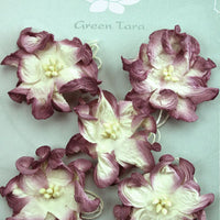 Green Tara - Apple Blossoms - White/Plum