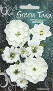 Green Tara - Fantasy Bloom Flower Pack - White
