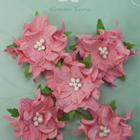 Green Tara - Gardenias - Pale Pink