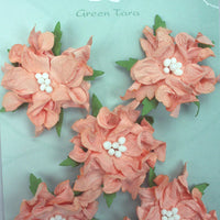 Green Tara - Gardenias - Peach