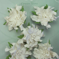 Green Tara - Gardenias - White