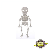 Skeleton