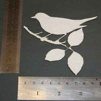 Sparrow Branch