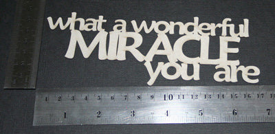 What A Wonderful Miracle You Are Title