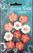 Green Tara - Cherry Blossoms Tones Pack - Peach